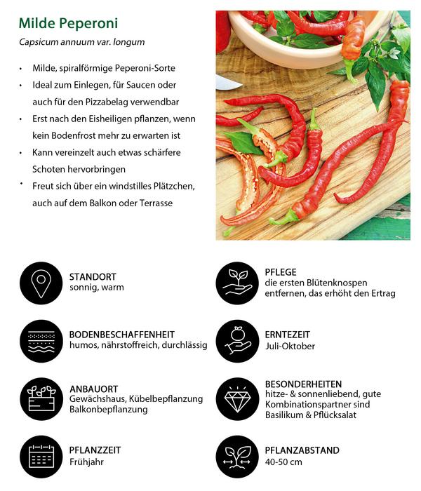 Gemüse-Set Schärfetest, 6-teilig
