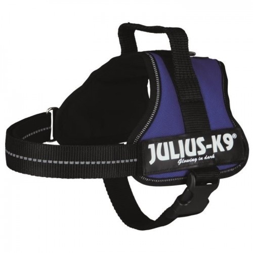 Coleira de Reforço Julius K-9 Roxa para Cães