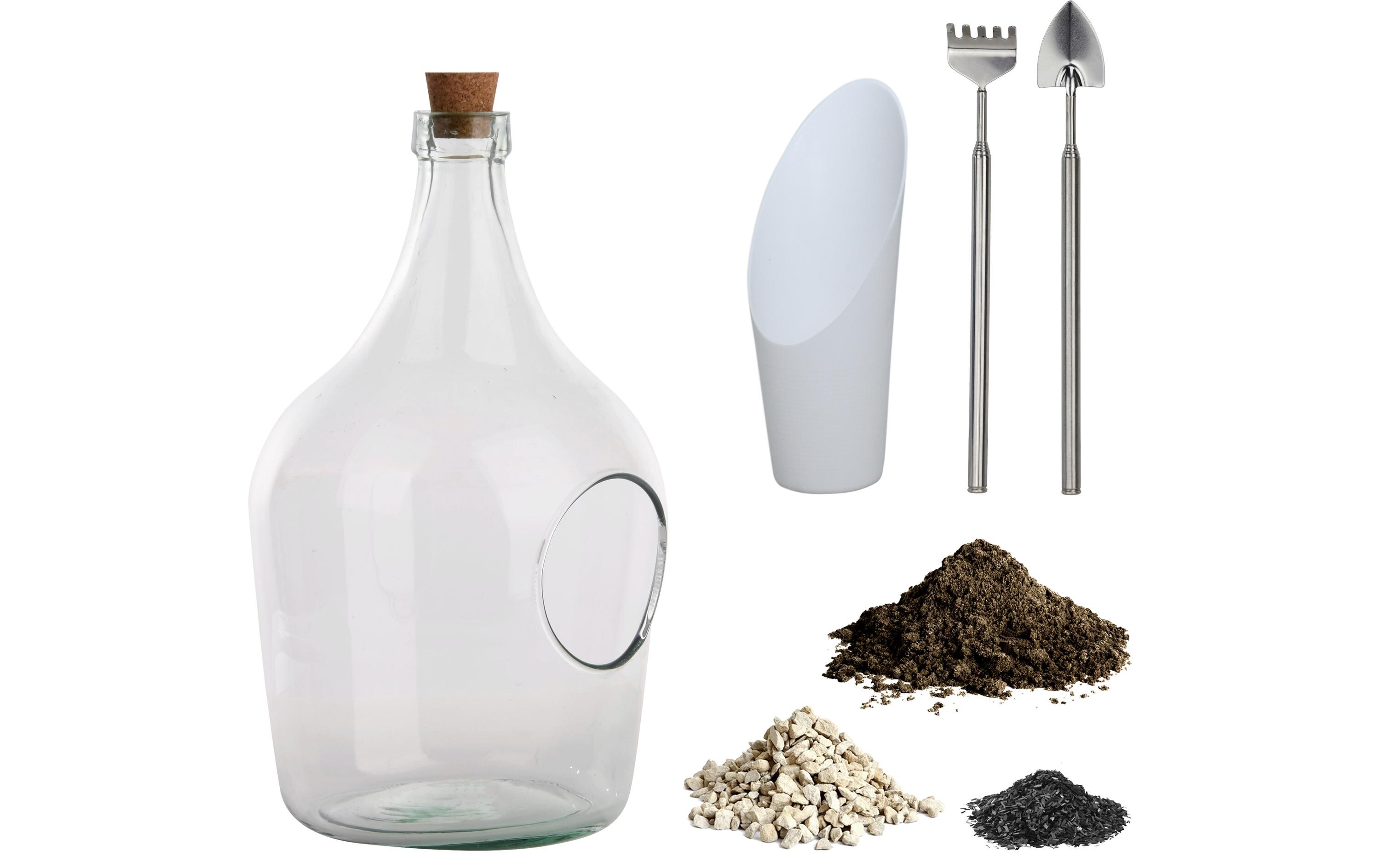 Vase Terrariumflasche 3 l 41 cm, TransparentTerrarium zum Selbermachen