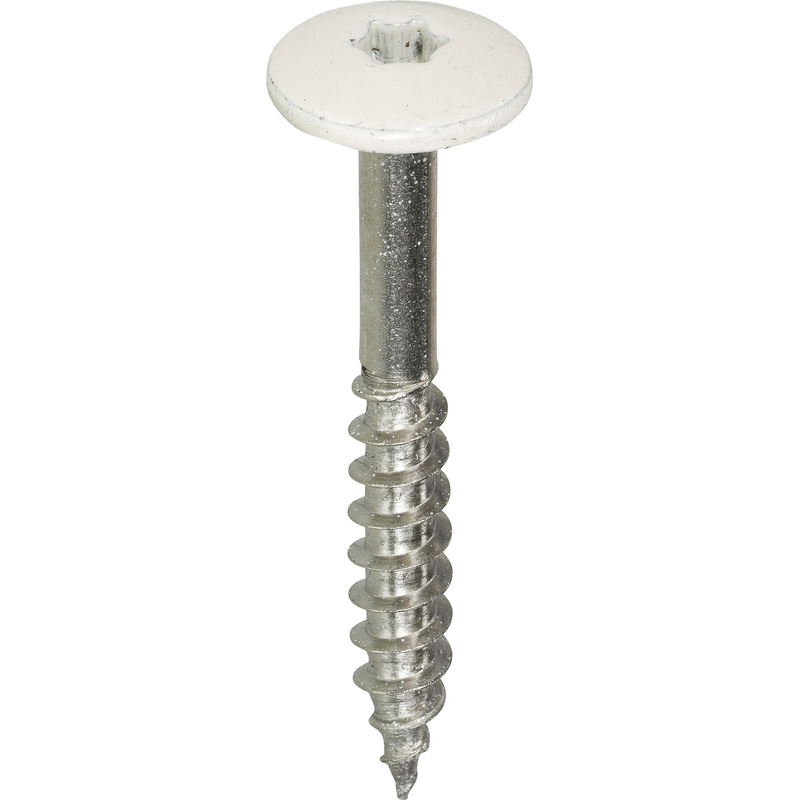 Kleurkop schroeven RVS 4,8x38mm TX20 RAL 9001 Crème