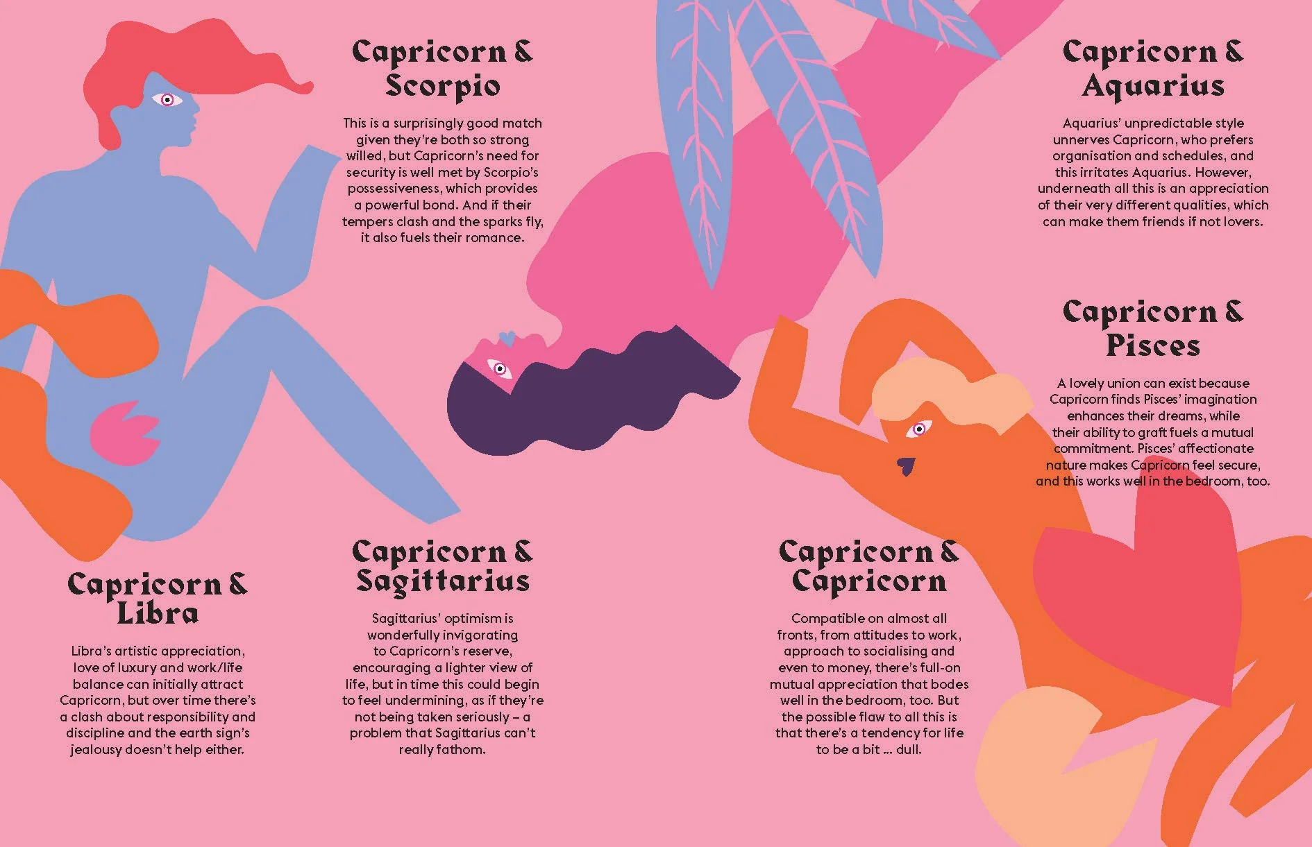 New Mags  Capricorn bog
