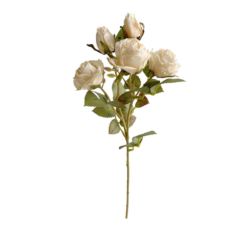 creme, L 43 cm