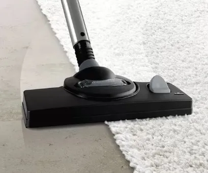 Bosch Serie | 4 AquaWash&Clean BWD421PRO - Støvsuger - beholder - pose / uden pose - hvid/sort
