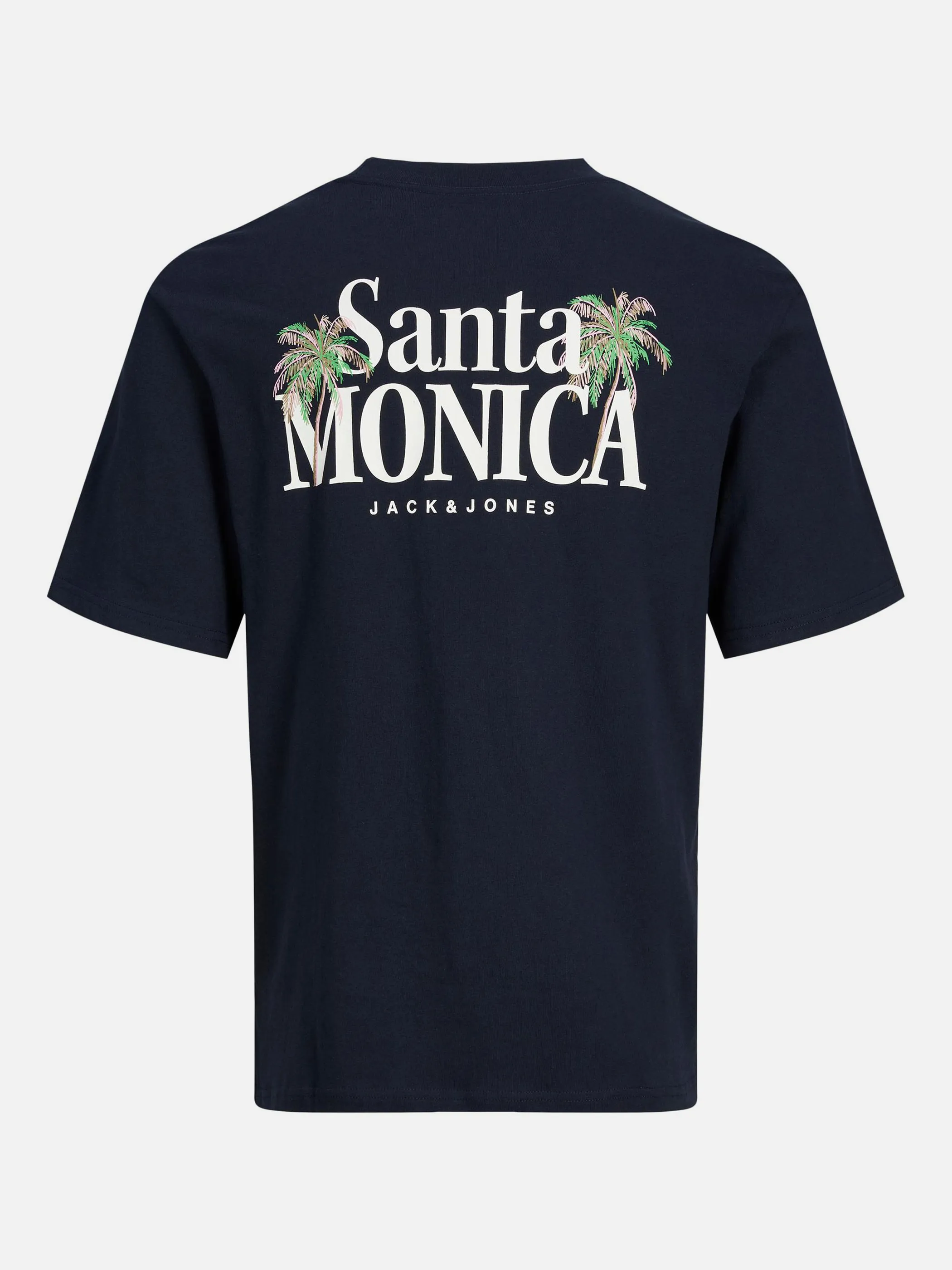 Jack&Jones JORPALMA DRY TEE SS C T-Shirt