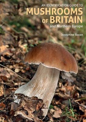An Identification Guide to Mushrooms of Britain and Northern Europe (2nd edition) - Identification Guide (Paperback)