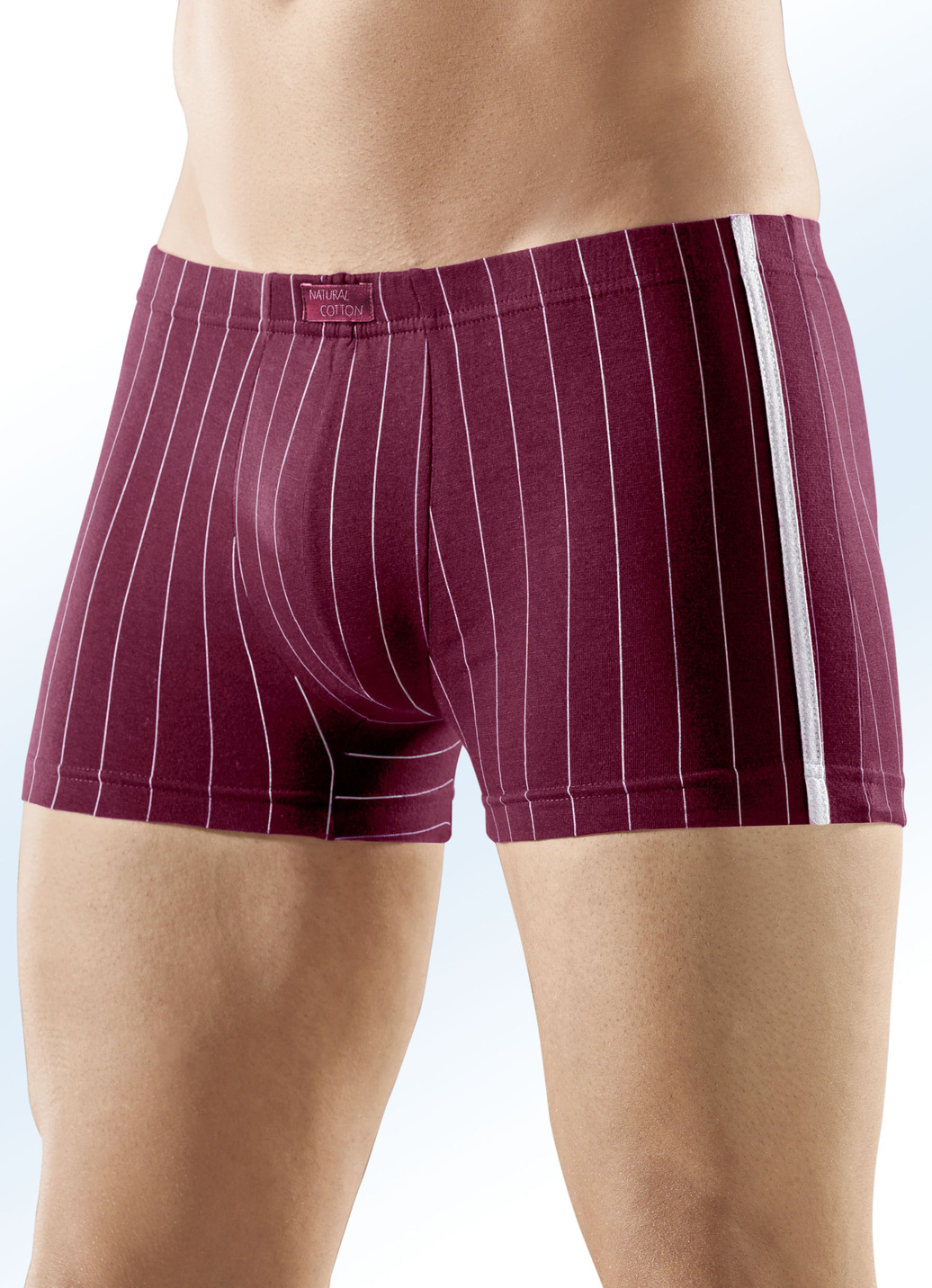 Viererpack Pants, gestreift