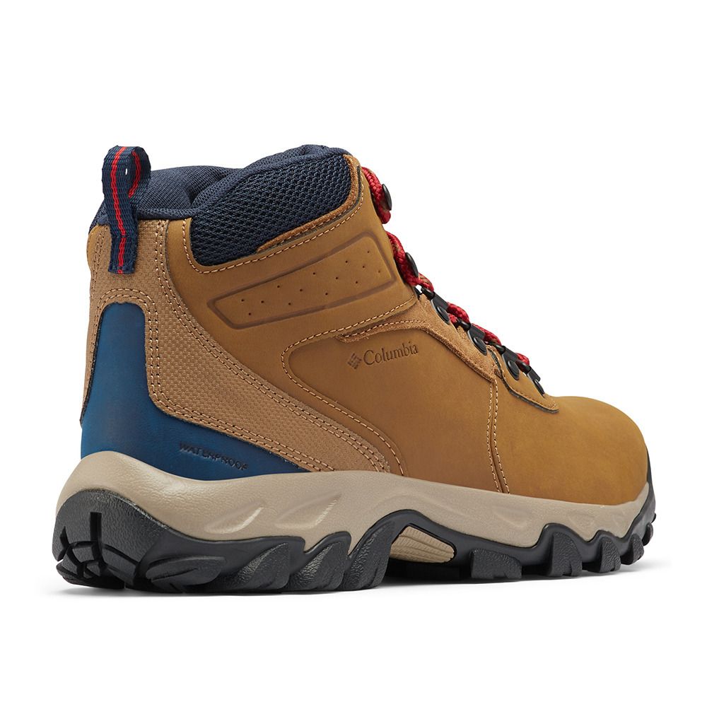 Columbia NEWTON RIDGE PLUS II WATERPROOF - Chaussures randonné Homme brown