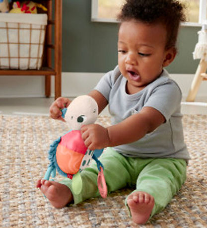 Fisher-Price Kinderwagenanhänger - Sea Me Bounce - Schildkröte