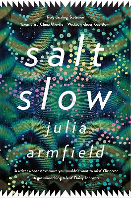 Salt Slow (Paperback)