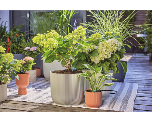 GARDENA Micro-Drip-System Druppelaars 2,0 l/u 10 st.