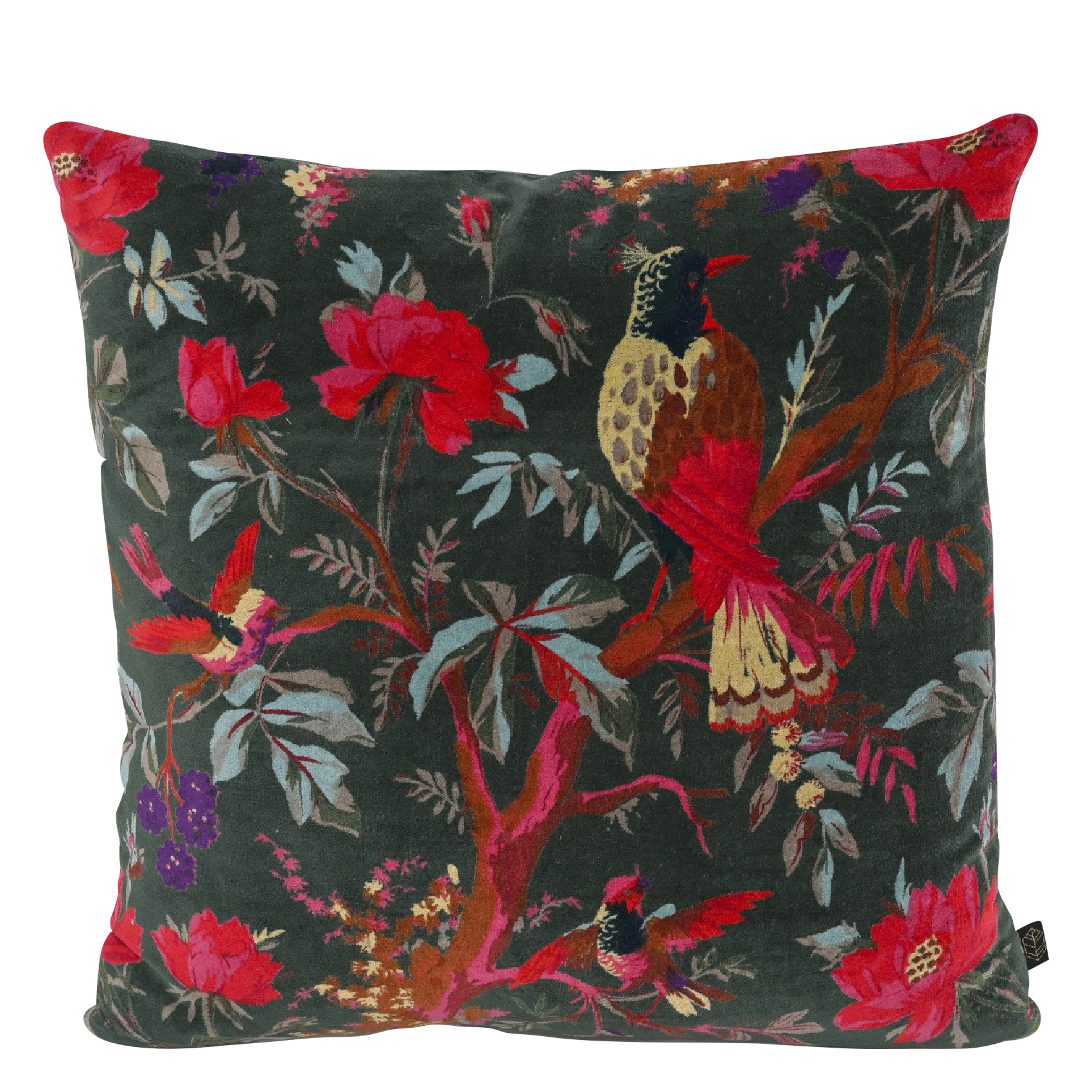 BIRDY - Housse de coussin imprimée en velours de coton | Gris