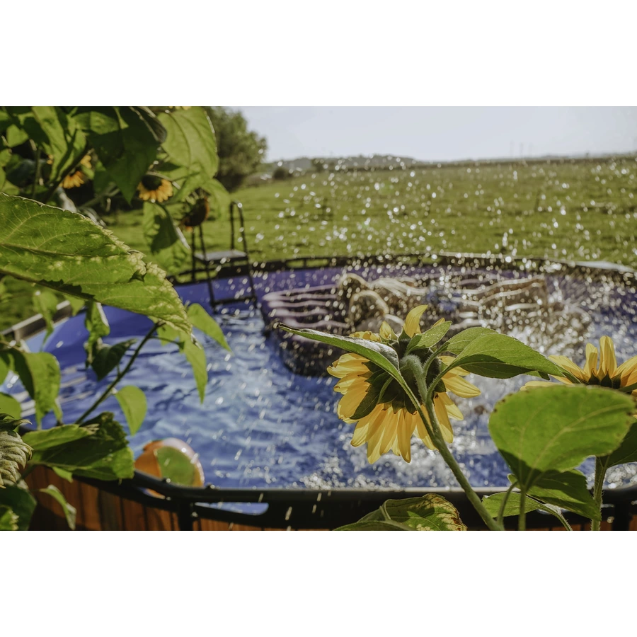 EXIT Frame Pool ø427x122cm (12v Kartusche Filterpumpe) – Holz optik