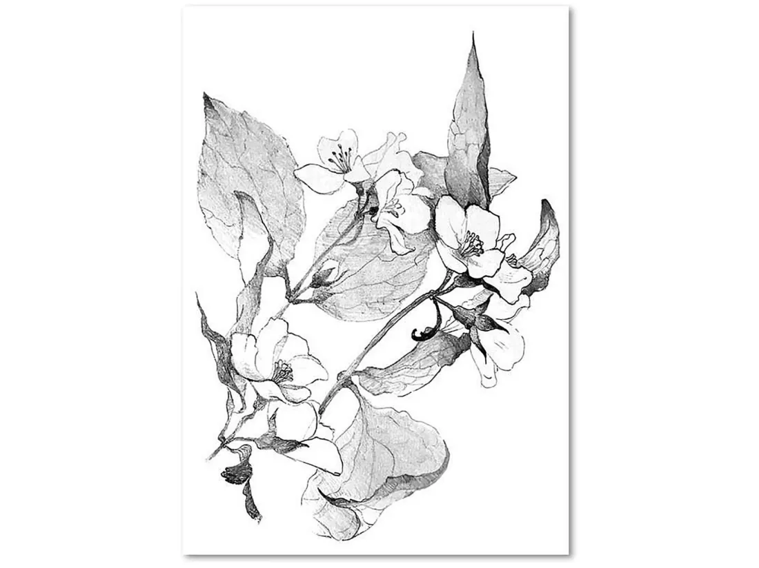 Tableau branches en fleurs - 70 x 100 cm