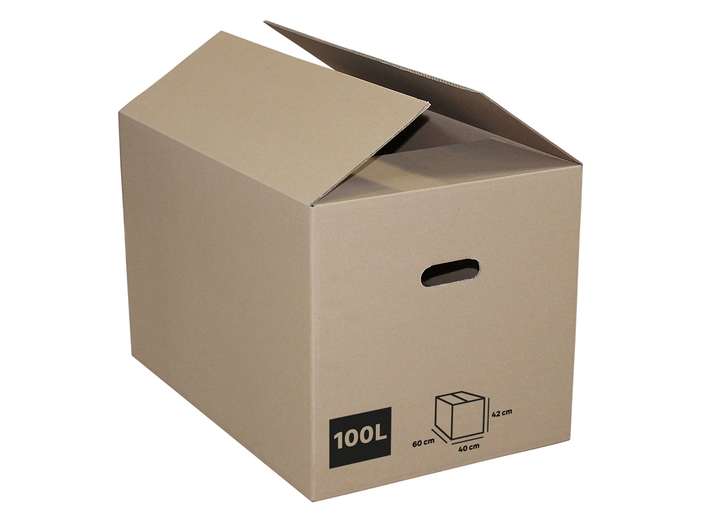 CAIXA CARTÃO PACK&MOVE 100L 60X40X42CM