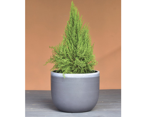 Lafiora gladde plantenpot Ø 30 cm H 24 cm antraciet/grijs