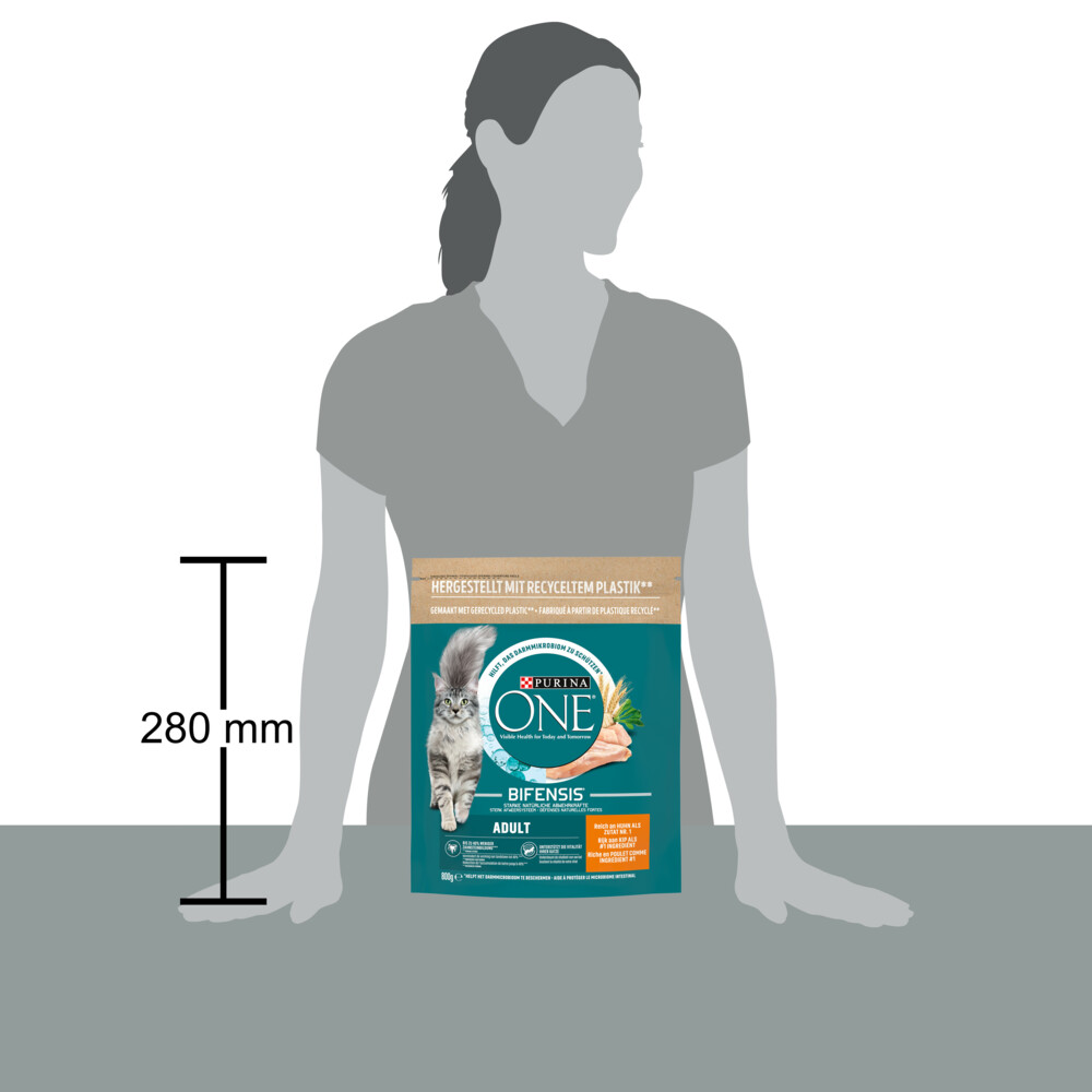 Purina ONE Adult Kip - Volkoren Granen800 gr