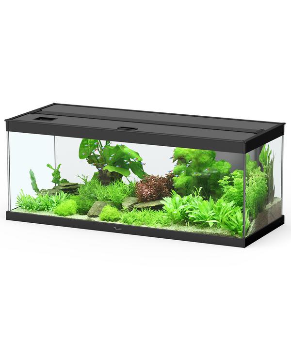 Dehner Aqua Premium Aquarium-Set ProLine 100,