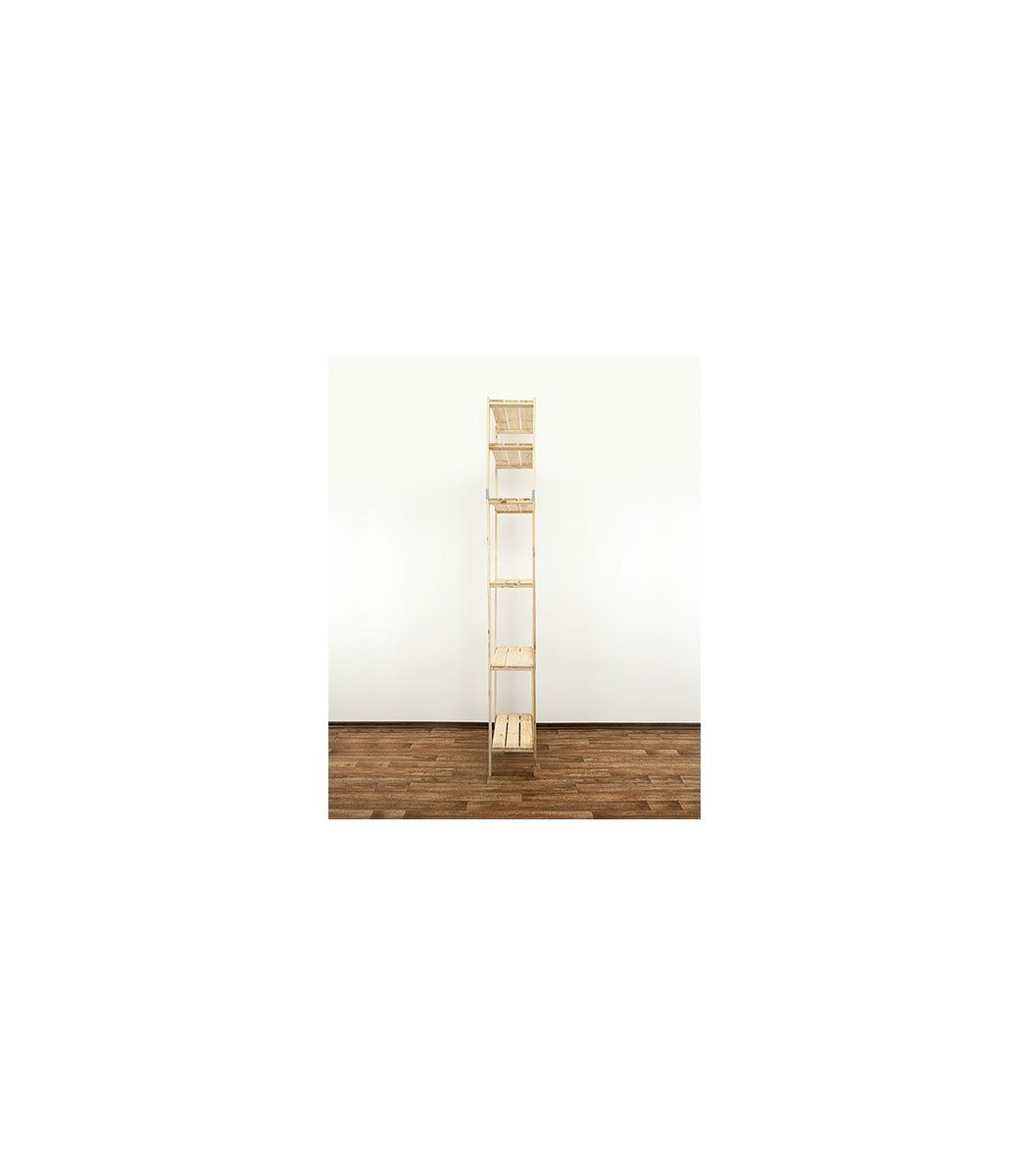 PROREGAL Houten Plank Woodland HxBxD 230 x 80 x 30 cm Plankbelasting 120 kg 6 planken Dennenhout Naturel