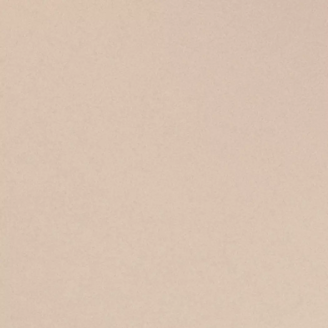 Speiseteller Basic Ø 26,8 cm
