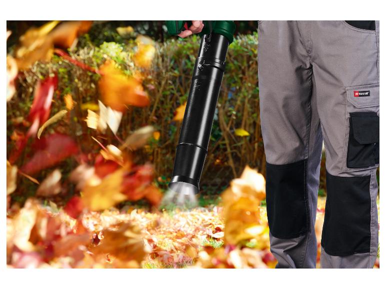 Benzine bladblazer 1600 W