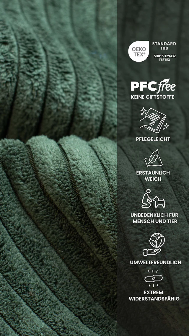 HELA Freischwinger »MERKUR XL« (Set) 2 Stk.Federkern, 140 Kg Belastbarkeit, Cord Bezug, 2er & 4er Set