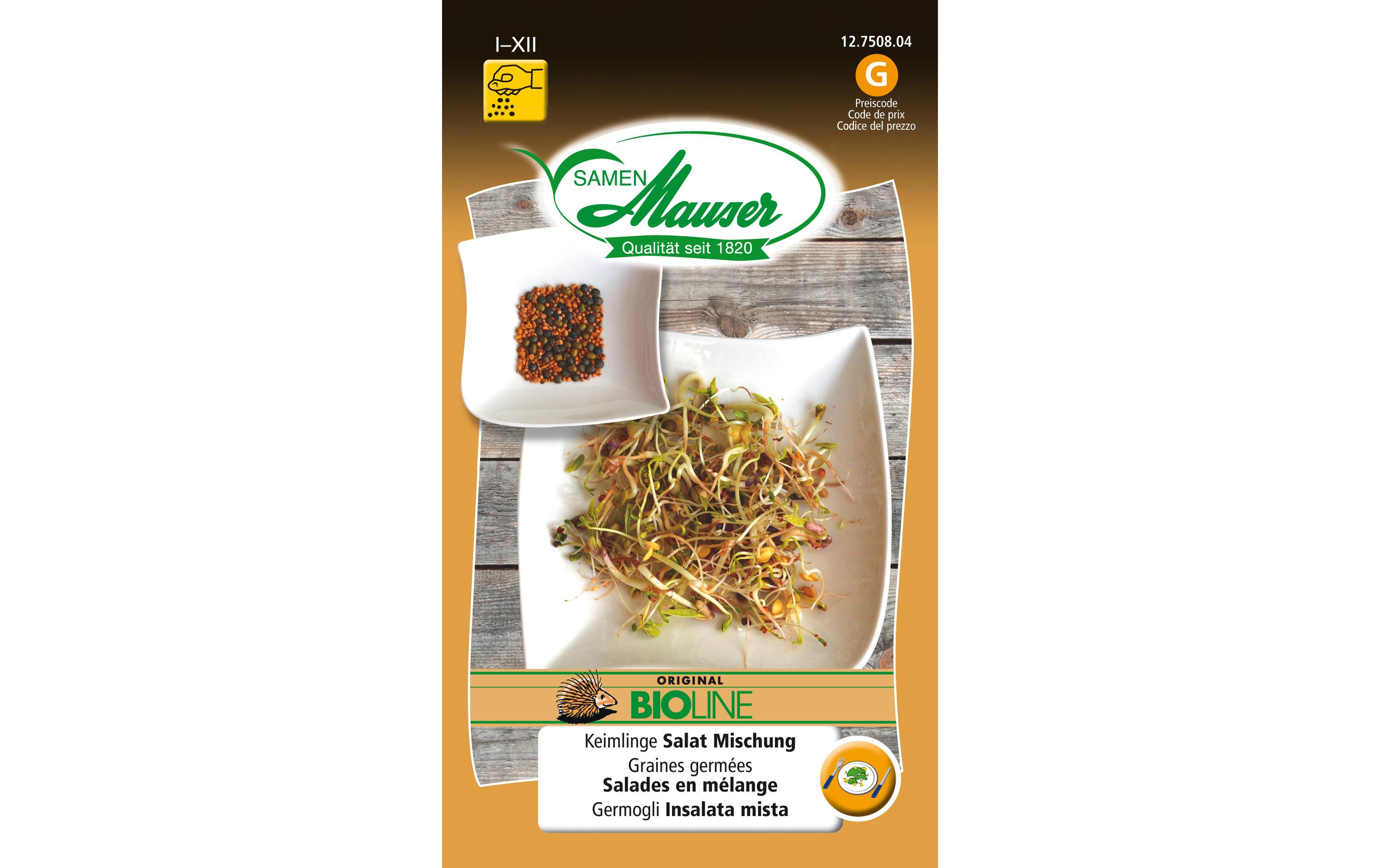 Samen Keimlinge Salat MischungGemüsesamen