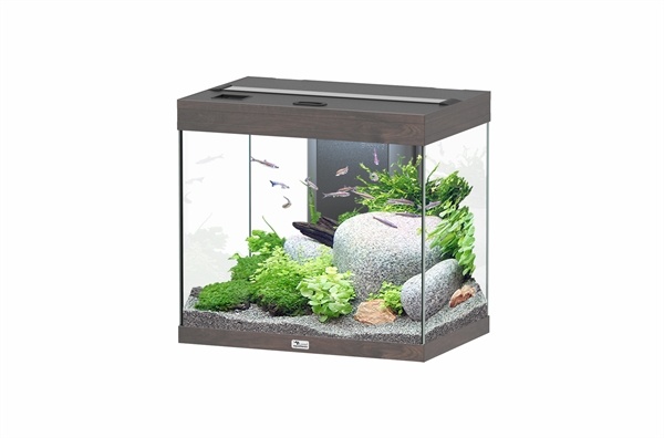 Aquatlantis Splendid 60 aquarium | Inclusief LED en filter