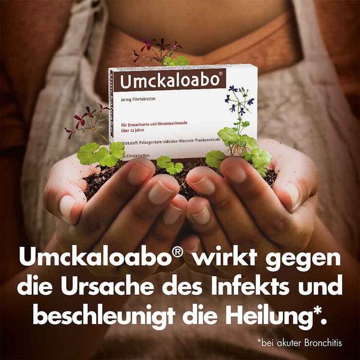 Umckaloabo 20 mg Filmtabletten, 60 St