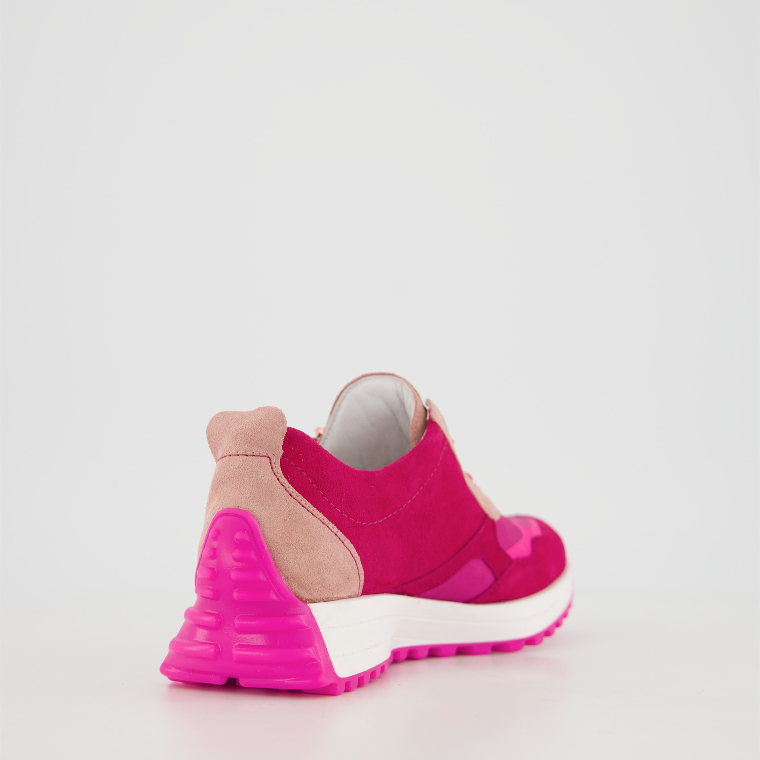 Waldläufer H-Pinky