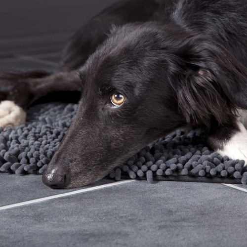 Tapete cinza para cães, ideal para casa e carro.
