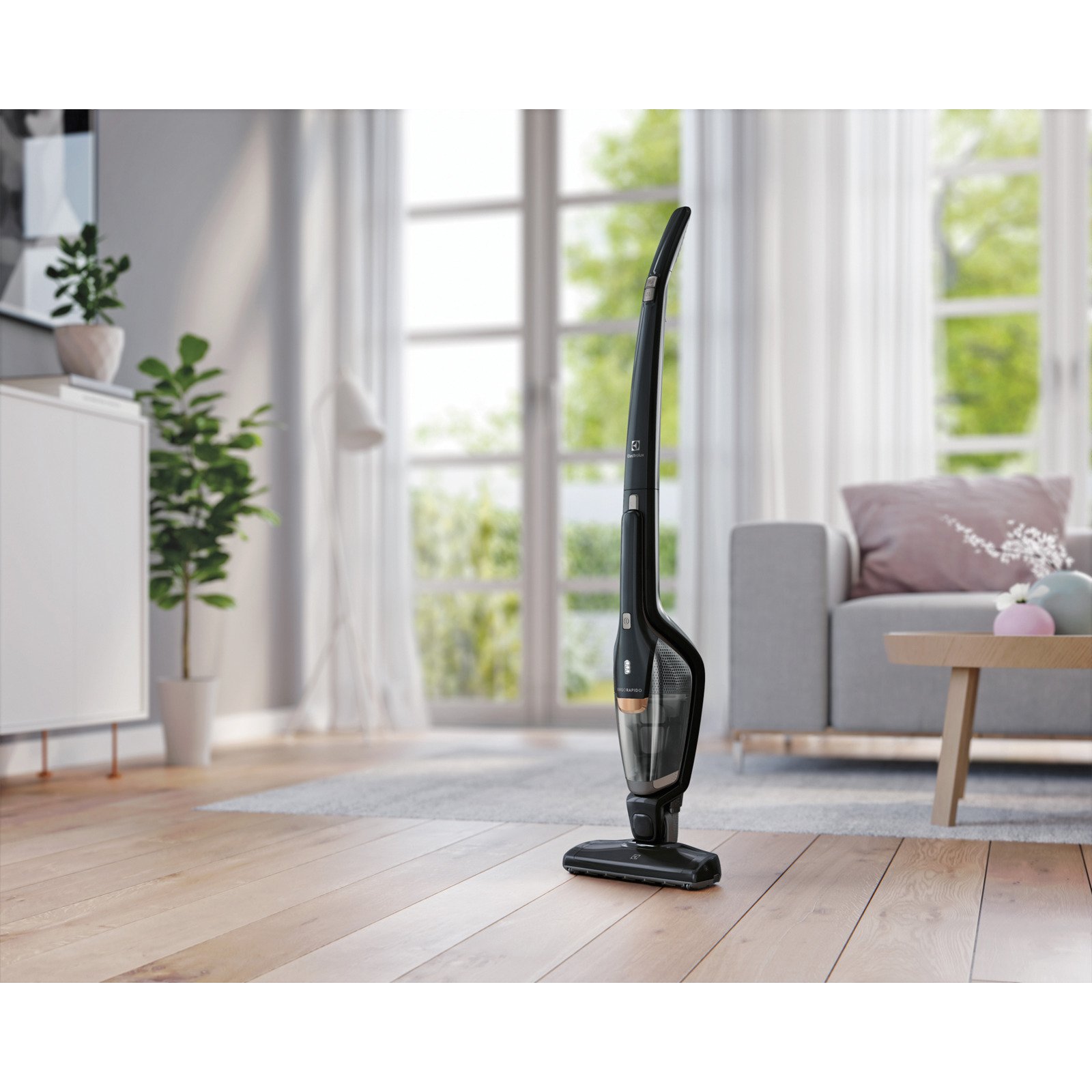 Electrolux Ergorapido EERC73EB