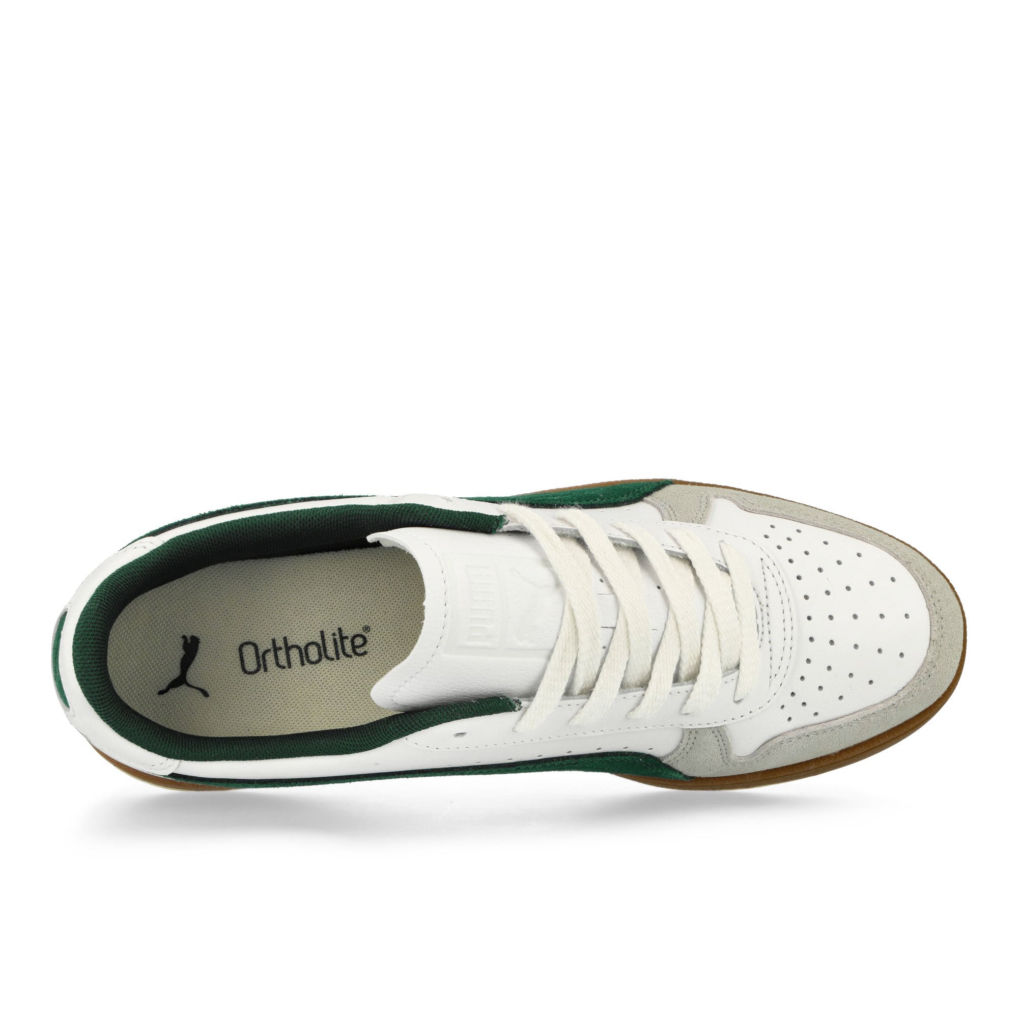 Puma<br>Indoor