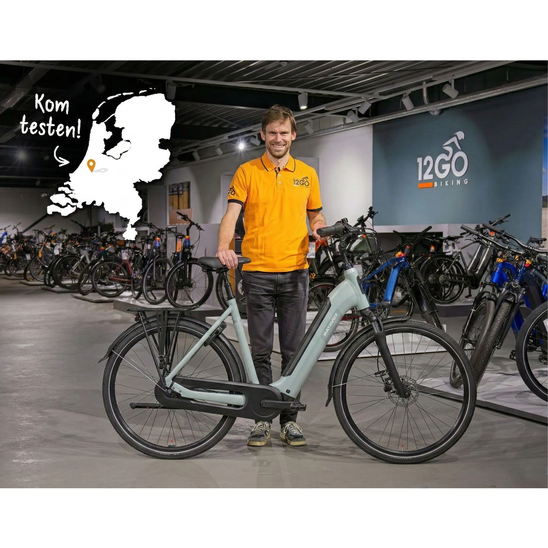 Batavus Altura E-Go Power Pro 2026