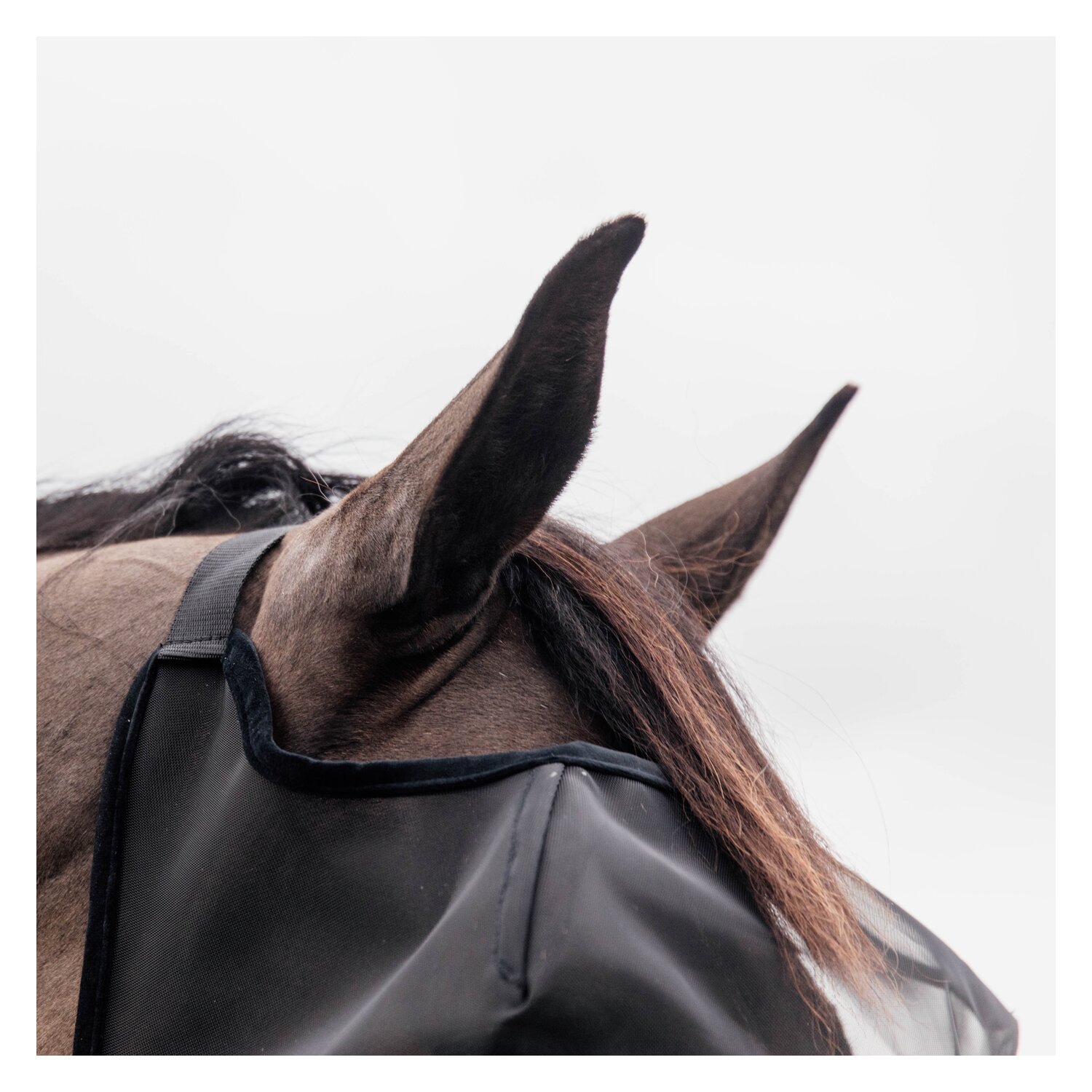 KENTUCKY Fliegenmaske Classic ohne Ohren  - black