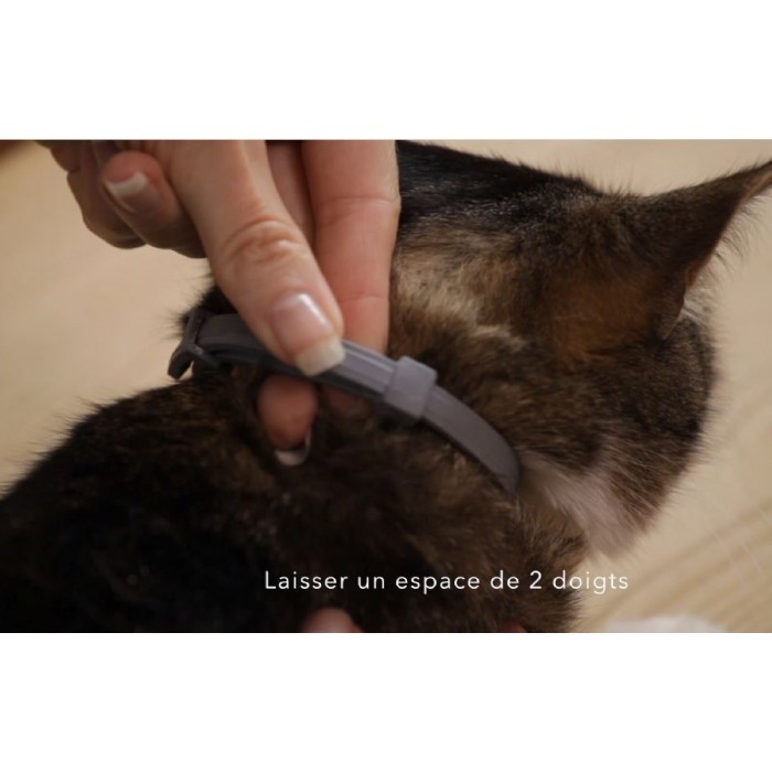 Collier antiparasitaire Seresto chat