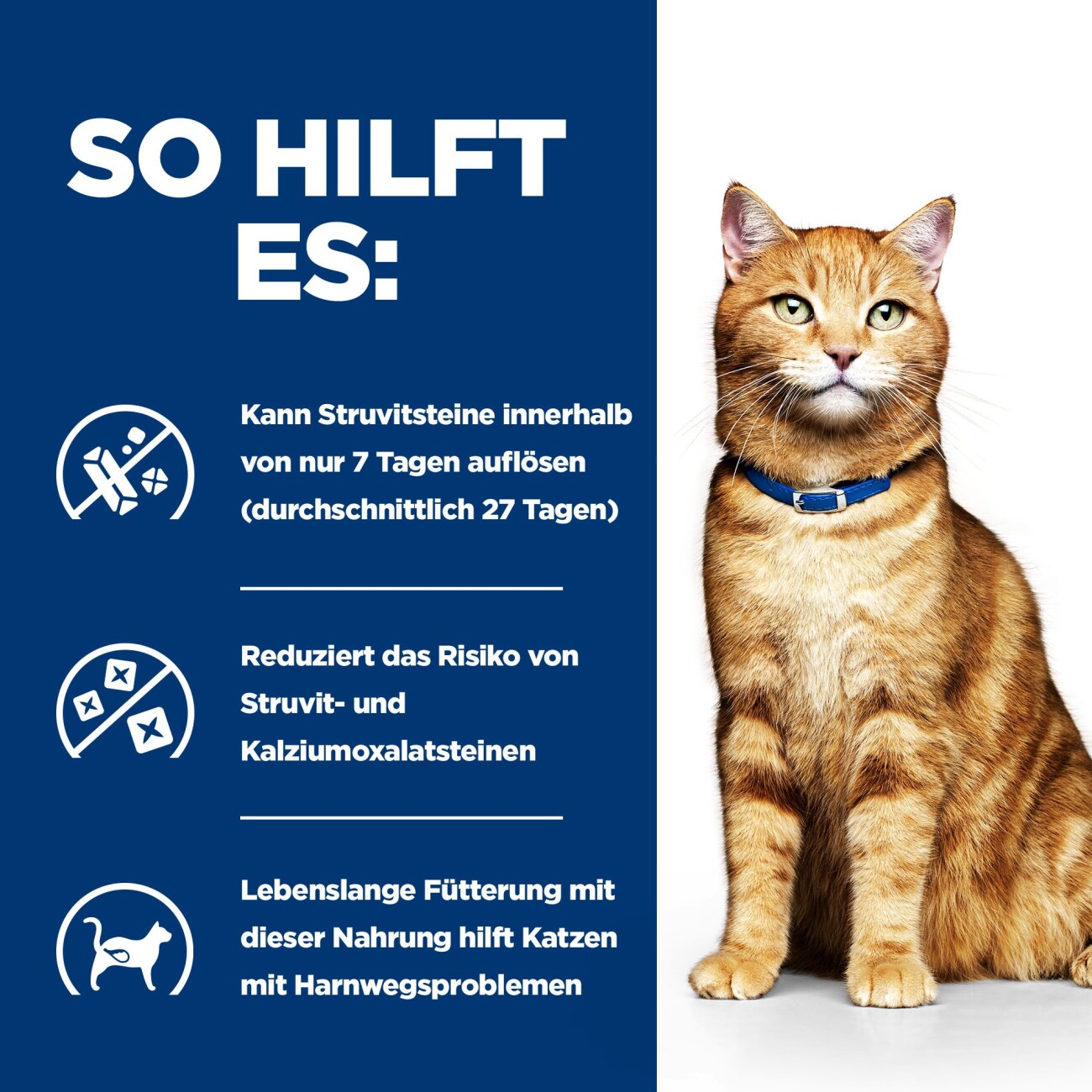 Hill's Prescription Diet c/d Urinary Multicare 1,5 kg
