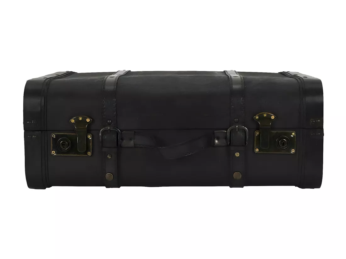 CURTIS - Lot de 2 Malles de Rangement Vintage Simili