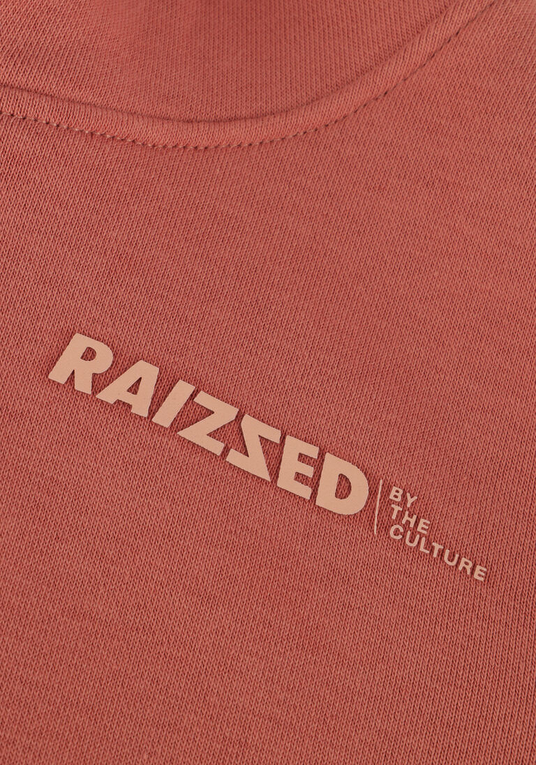 RAIZZED roze raizzed trui newfield