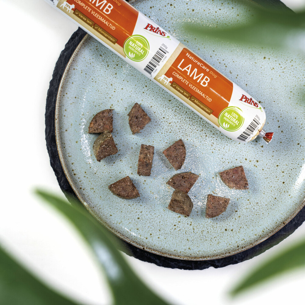 Prins NatureCare Hypoallergeen Hondenvoer Worst Lam & Rijst250 gr