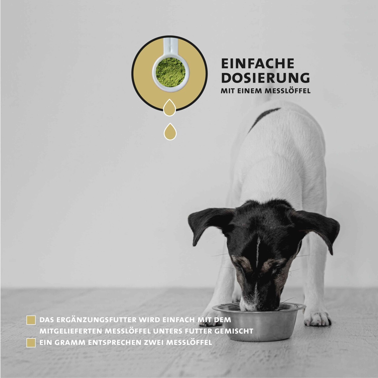 Peticare Ergänzungsfutter Zahnpflege Pulver für Hunde 125g