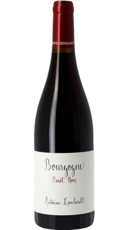 Domaine Antoine Lienhardt bourgogne Pinot Noir 2022