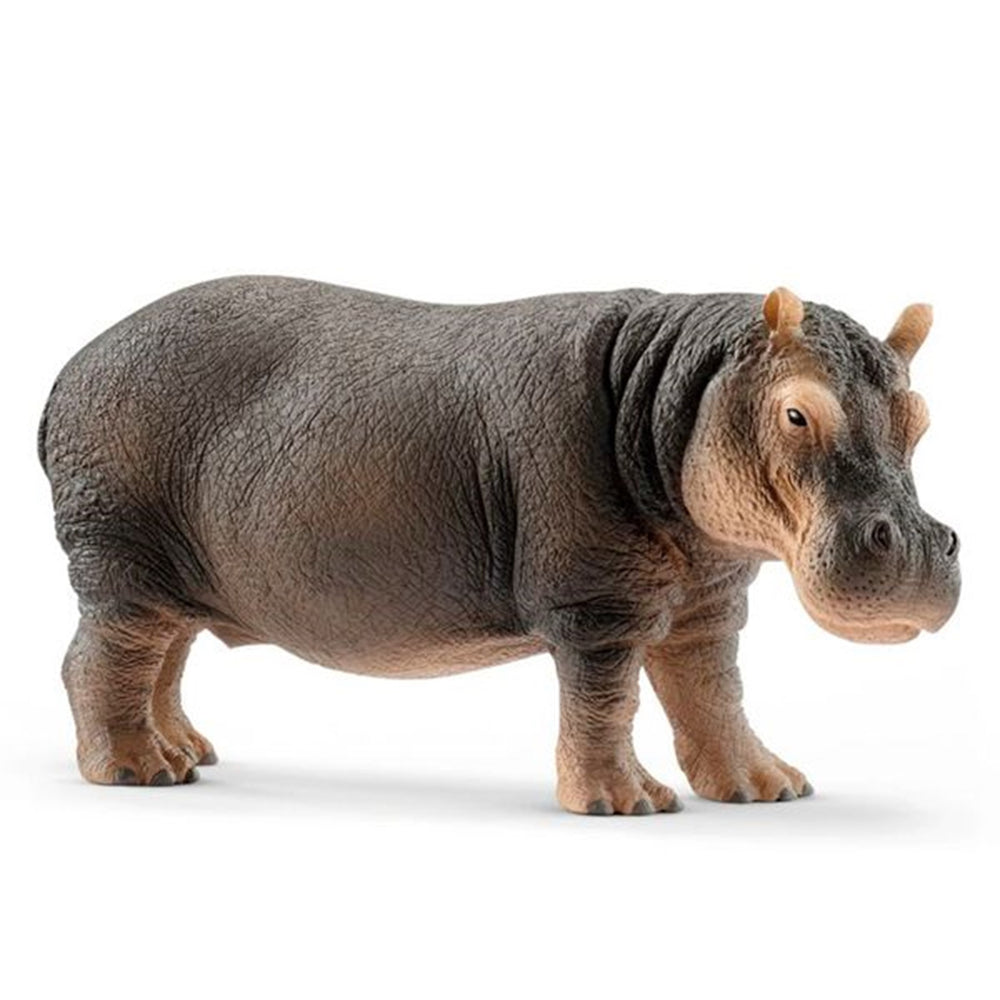 Køb schleich® Wild Life Flodhest