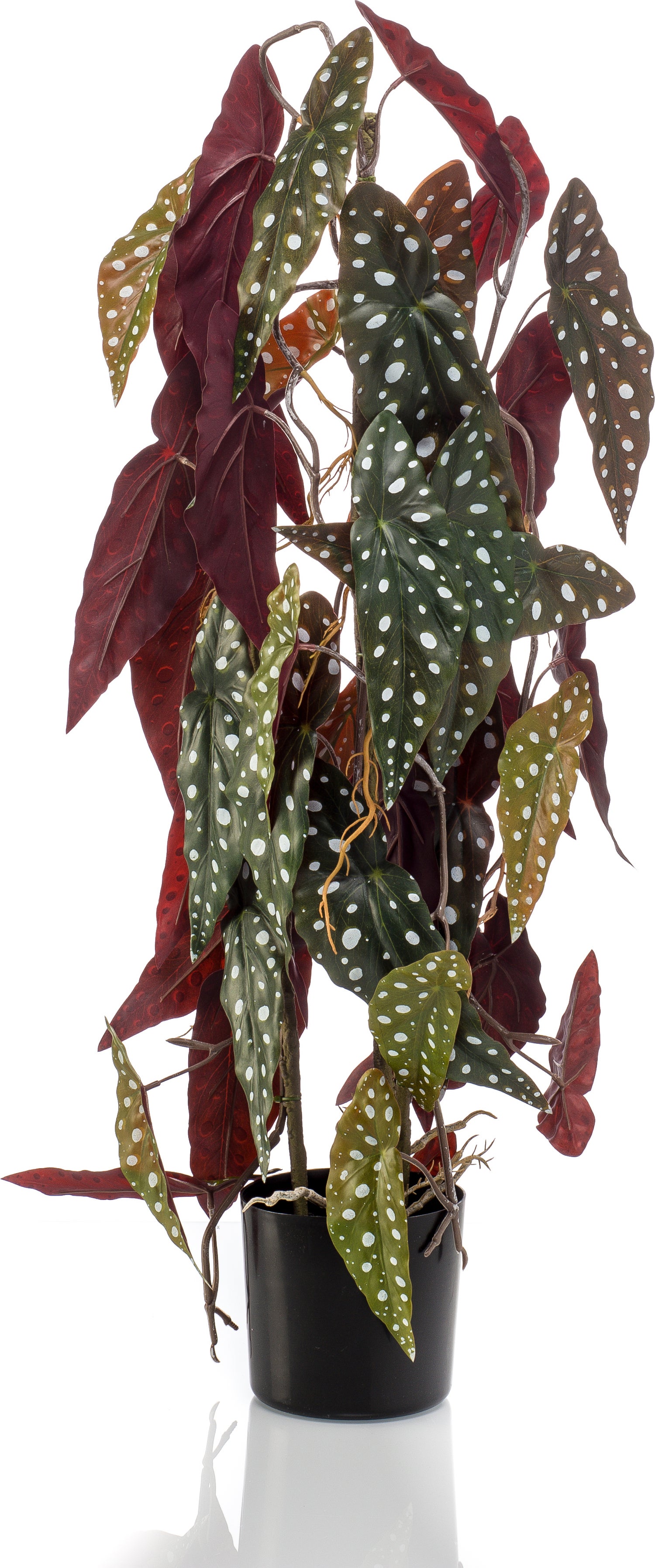 Emerald kunstplant Stippenbegonia 35 x 35 x 75 cm