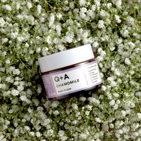 Q+A Chamomile Night Cream