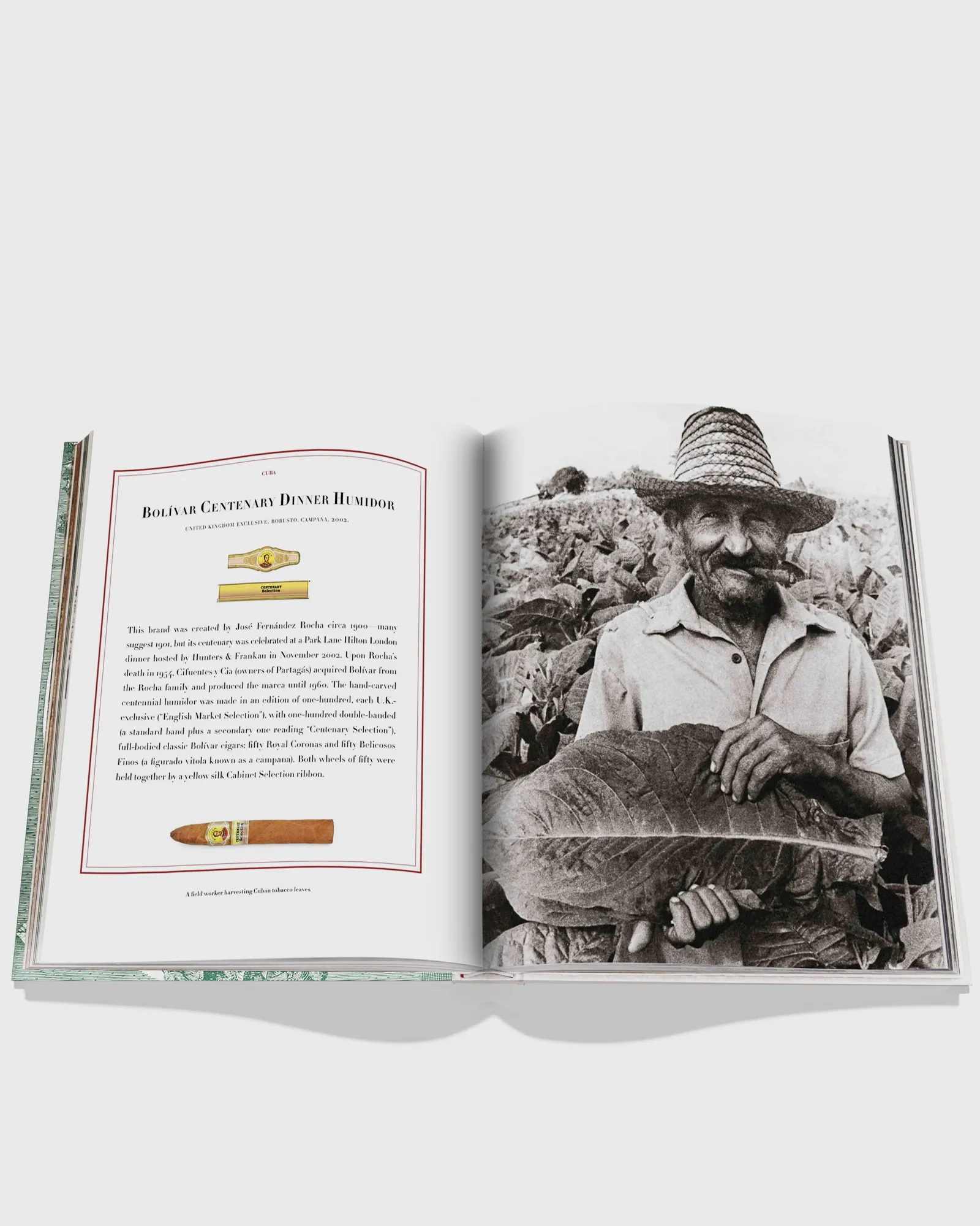Assouline 