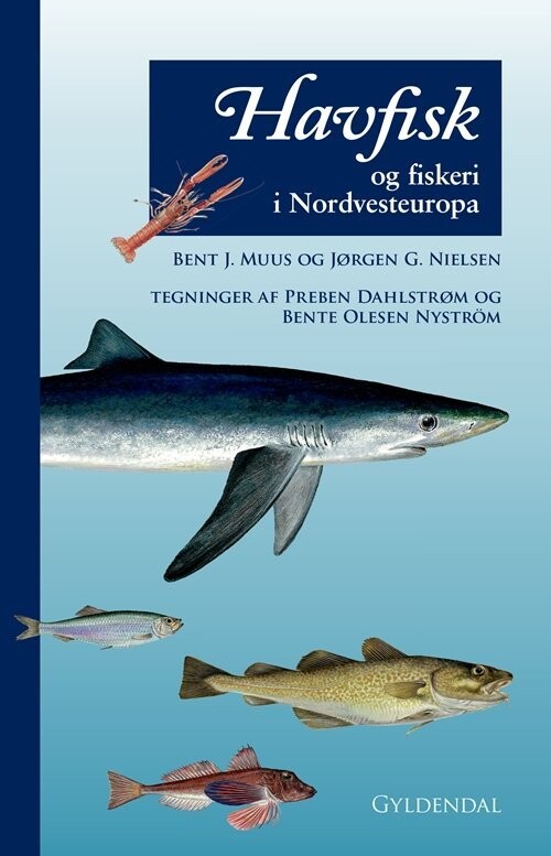 Havfisk Og Fiskeri - Jørgen G. Nielsen - Bog