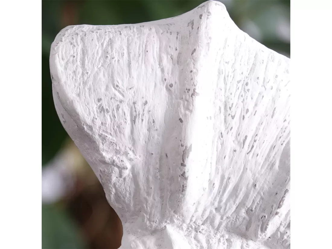 SCULPTURE Coquillage Socle en bois de mangue blanc-nature