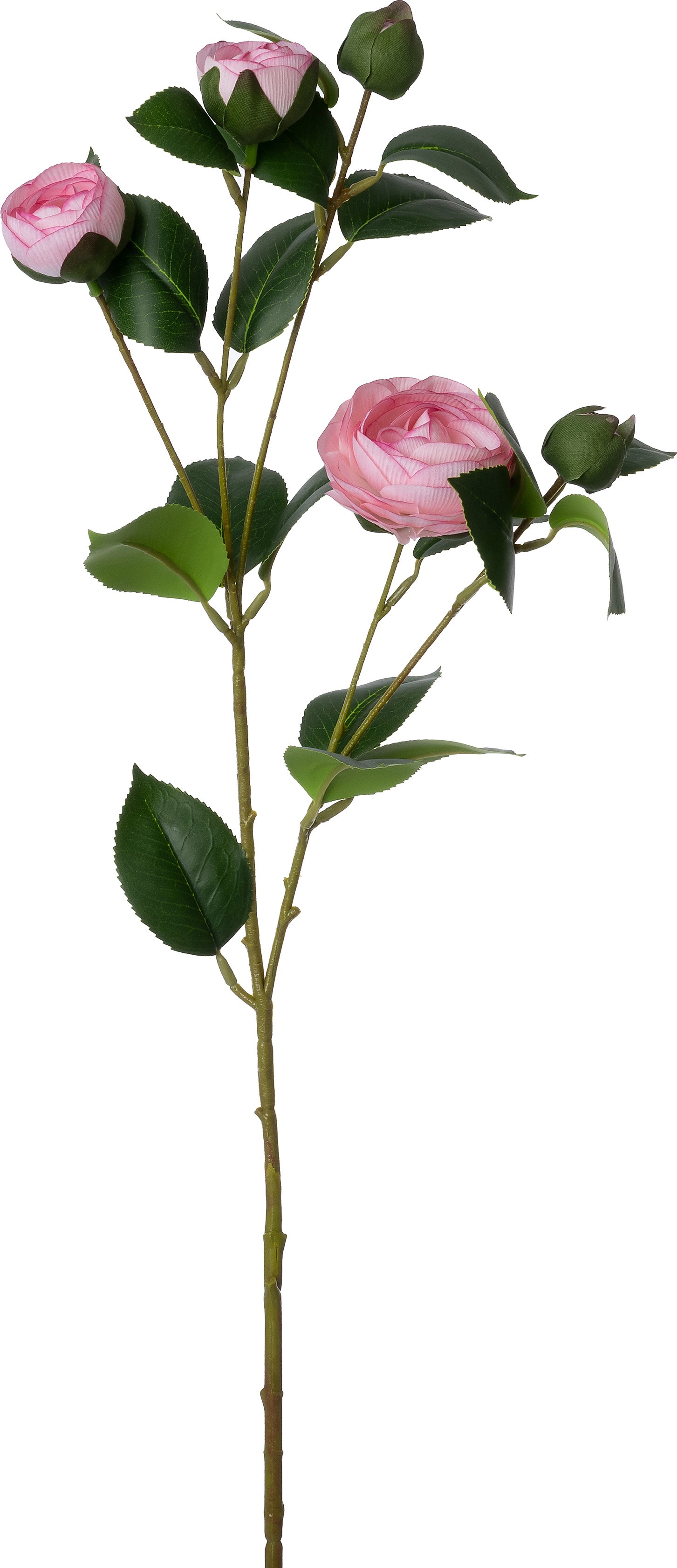 Intratuin kunstbloem Camellia roze 73 cm