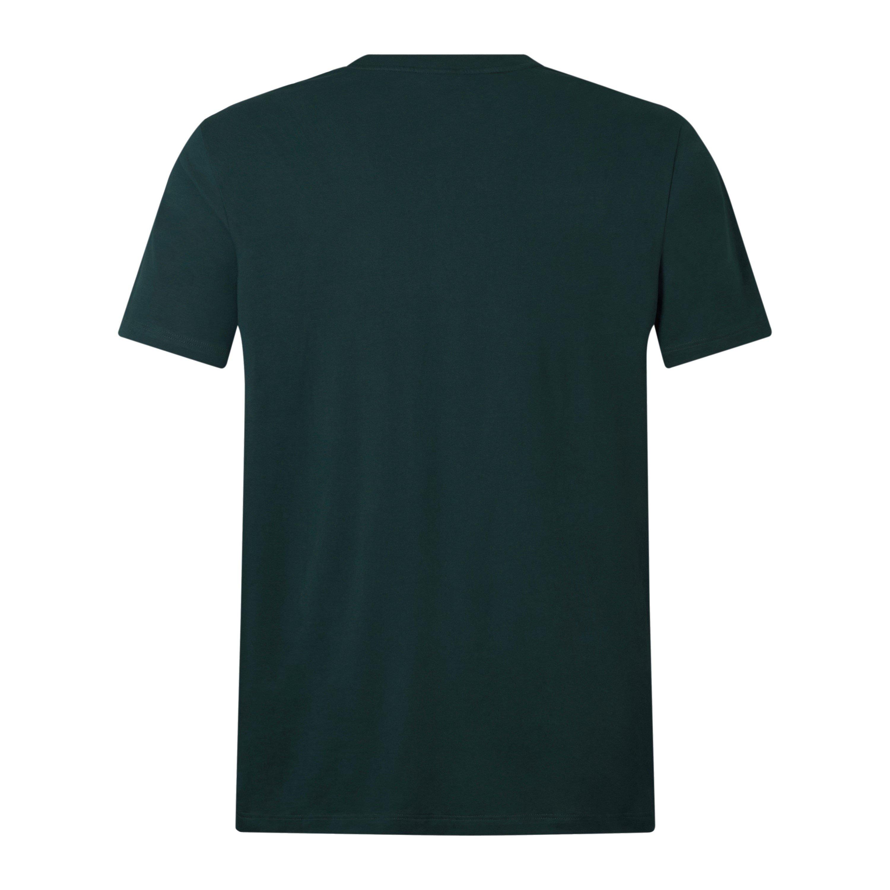 Canterbury British and Irish Lions T Shirt 2024 Adults