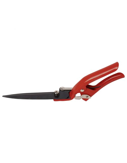 Talen Tools Grasschaar Vast Budget - Grasscharen - 31 cm Rood per stuk